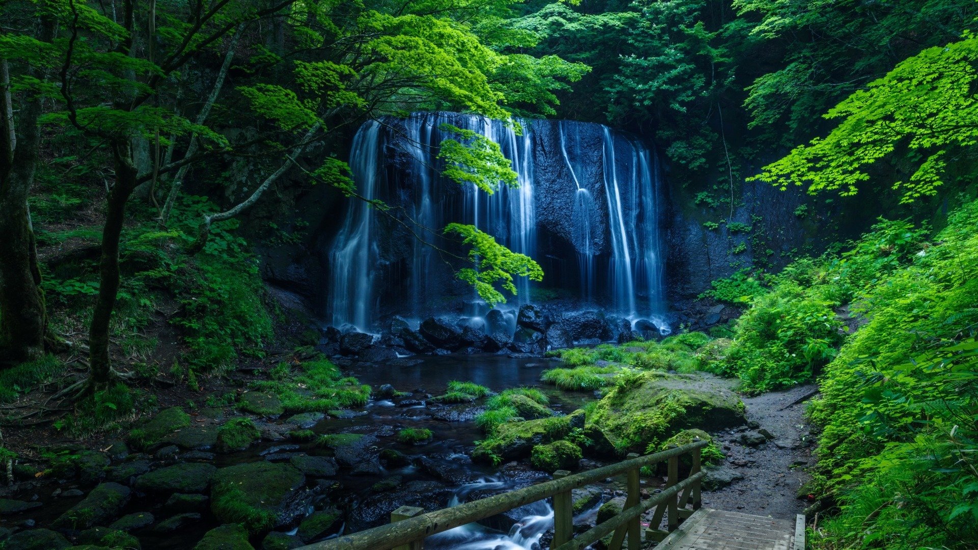 秋季河畔夜钓记